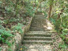 -西湖风景区-江洋畈生态公园