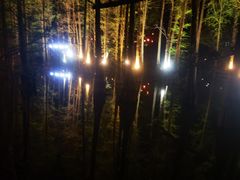 -金山植物公园