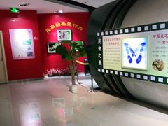 -上海昆虫博物馆