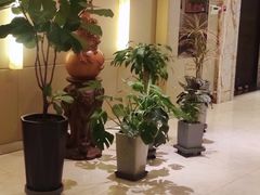 -谷语中餐厅