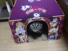 -萌兽医馆·犬猫专科·眼科中心·宠物医院(朝阳门分院)
