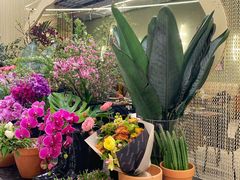 -PlantsEatery·植物食堂(REX春熙店)