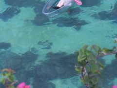 -卡帕莱度假村(西巴丹岛)