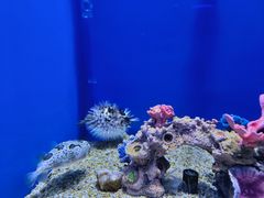 -石家庄极地海洋世界