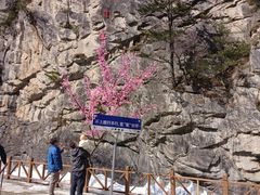 -青峰峡国家森林公园