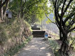 -艾坪山公园