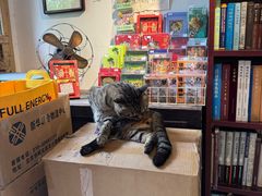 -正阳书局(西四南大街店)