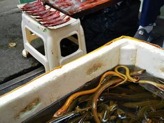 -铜元老码头鳝鱼火锅