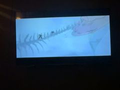 -星漾里•SPA•足道•按摩•养生(吕厝店)