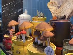 -百姓渔村(朝阳店)