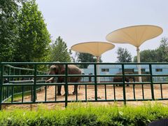 -秦皇岛野生动物园