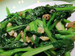 广东菜心-广记海鲜(杨汊湖一店)