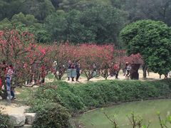 -南国桃园旅游度假区