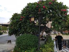 -桃园盛宴·岭南粤菜·手工茶点(南庄店)