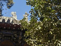 -洛阳白马寺
