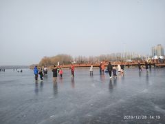 -丁香湖公园