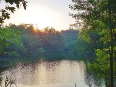 景点-三水森林公园