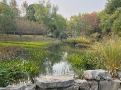 -武汉园博园(武汉自然博物馆)