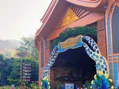 -西双版纳原始森林公园