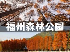 -福道
