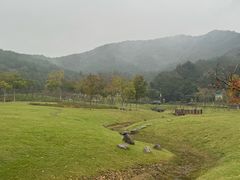 -东钱湖旅游度假区