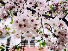 -永乐路-路侧停车场