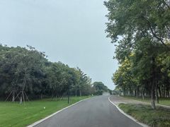 -江苏三台山国家森林公园