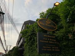 -Fern Forest Cafe