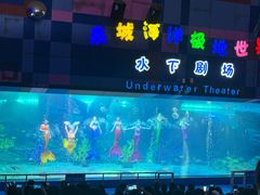 -蓬莱欧乐堡海洋极地世界
