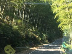 -将军关探险漂流