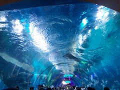 -杭州浪浪浪水公园