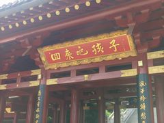 -庐山风景名胜区-东林大佛