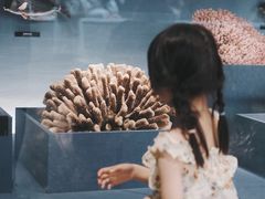 -中国湿地博物馆