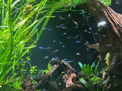 -上海海洋水族馆