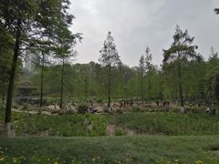 -重庆彩云湖湿地公园