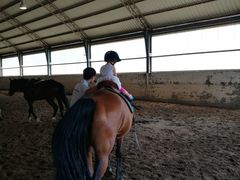 -月河湾马术俱乐部(朝阳店)