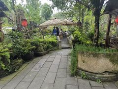 -青城甲(青城山店)