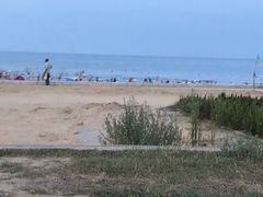 -日照海滨国家森林公园