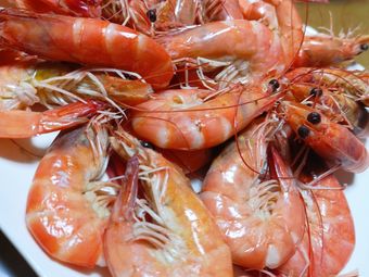 "喜子啤酒屋"的所有分店