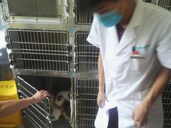 -美迦爱-牙专科·兔科·骨科诊疗中心(北苑店)