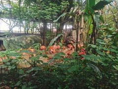 -长鹿旅游休博园