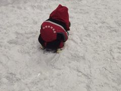 -石林冰雪海洋世界