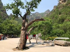 -孤山寨风景区