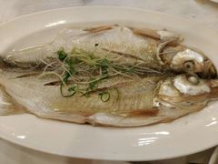 清蒸太湖白鱼-北门饭店(三香路店)