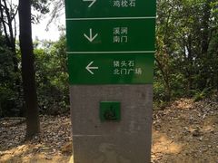 -火炉山森林公园