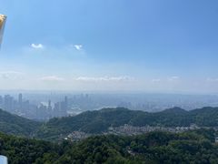 -大金鹰园