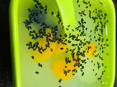 -八角饮楼(虹桥店)