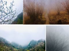 -牛背梁国家森林公园