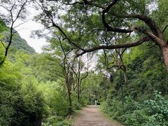 -黄公望隐居地