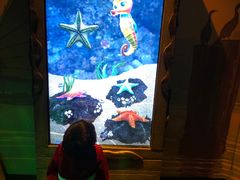 -沈阳海洋探索中心